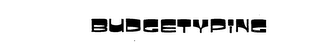 BUDGETYPING logo