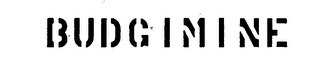 BUDGIMINE logo