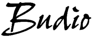 BUDIO logo