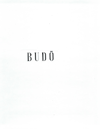 BUDO logo