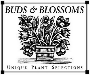 BUDS & BLOSSOMS UNIQUE PLANT SELECTIONS logo