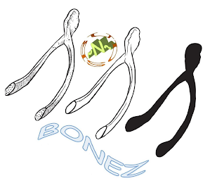 BUDS N BONEZ logo