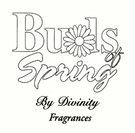 BUDS OF SPRING BY DIVINITY FRAGRANCES logo