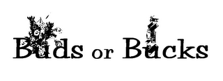 BUDS OR BUCKS logo