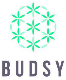 BUDSY logo