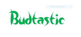 BUDTASTIC logo