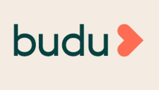 BUDU logo