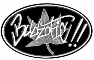 BUDZOTIC !! logo