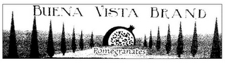 BUENA VISTA BRAND POMEGRANATES logo