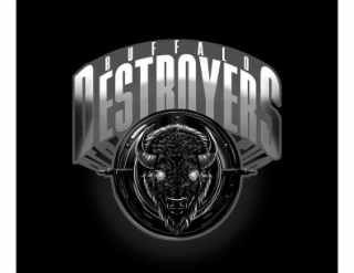 BUFFALO DESTROYERS logo