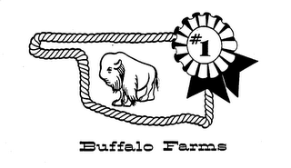 BUFFALO FARMS #1 logo