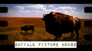 BUFFALO PICTURE HOUSE logo