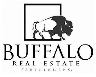 BUFFALO REAL ESTATE PARTNERS, INC. logo