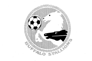 BUFFALO STALLIONS logo