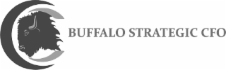 BUFFALO STRATEGIC CFO logo
