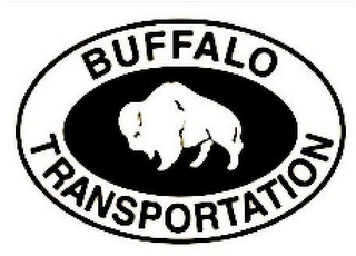 BUFFALO TRANSPORTATION logo