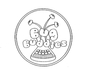 BUG BUDDIES logo