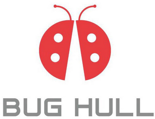 BUG HULL logo