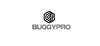 BUGGYPRO logo