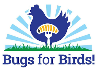 BUGS FOR BIRDS! logo