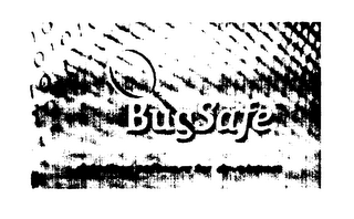 BUGSAFE DETECTION SOFTWARE FOR DEVELOPERS logo