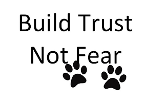 BUILD TRUST NOT FEAR logo