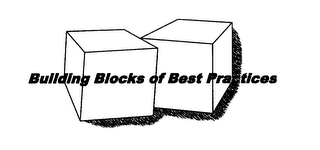 BUILDING BLOCKS OF BEST PRACTICES logo