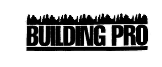 BUILDING PRO logo