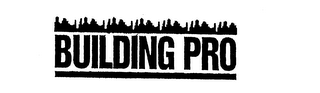 BUILDING PRO logo