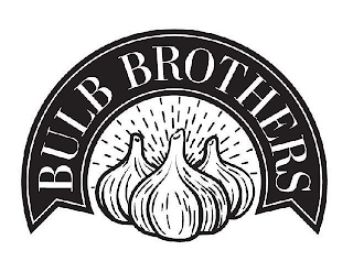 BULB BROTHERS logo