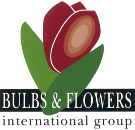 BULBS & FLOWERS INTERNATIONAL GROUP logo