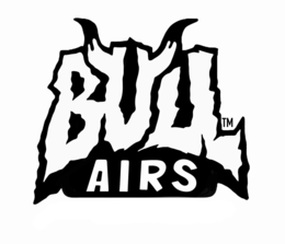 BULL AIRS logo