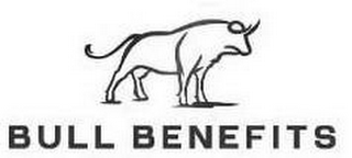 BULL BENEFITS logo