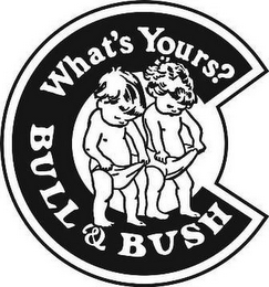 BULL & BUSH WHAT'S YOURS? logo
