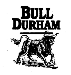 BULL DURHAM logo