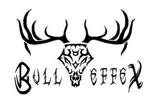 BULL EFFEX logo