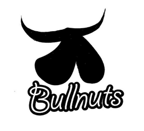 BULL NUTS logo