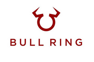 BULL RING logo