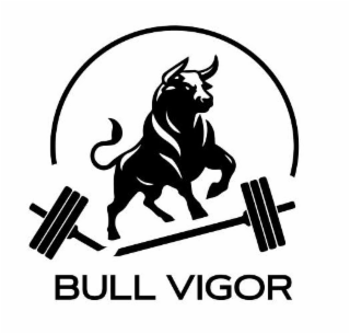 BULL VIGOR logo