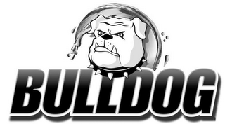 BULLDOG logo