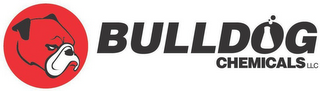 BULLDOG CHEMICALS LLC logo
