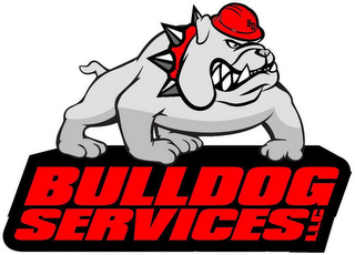 BULLDOG SERVICES LLC BD logo