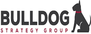 BULLDOG STRATEGY GROUP logo