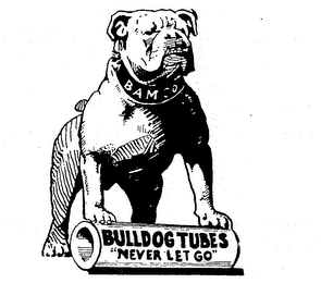 BULLDOG TUBES NEVER LET GO BAMCO logo