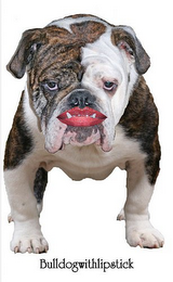 BULLDOGWITHLIPSTICK logo