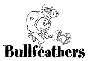 BULLFEATHERS logo