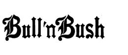 BULL'N BUSH logo