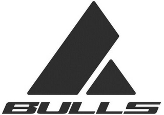 BULLS logo