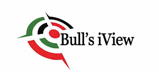 BULL'S IVIEW logo