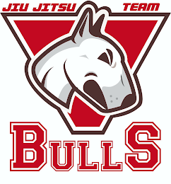 BULLS JIU JITSU TEAM logo